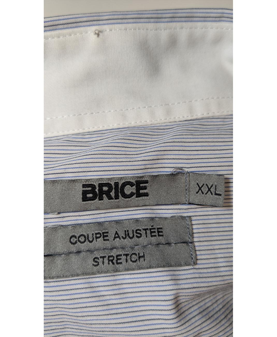 BRICE - Image 6