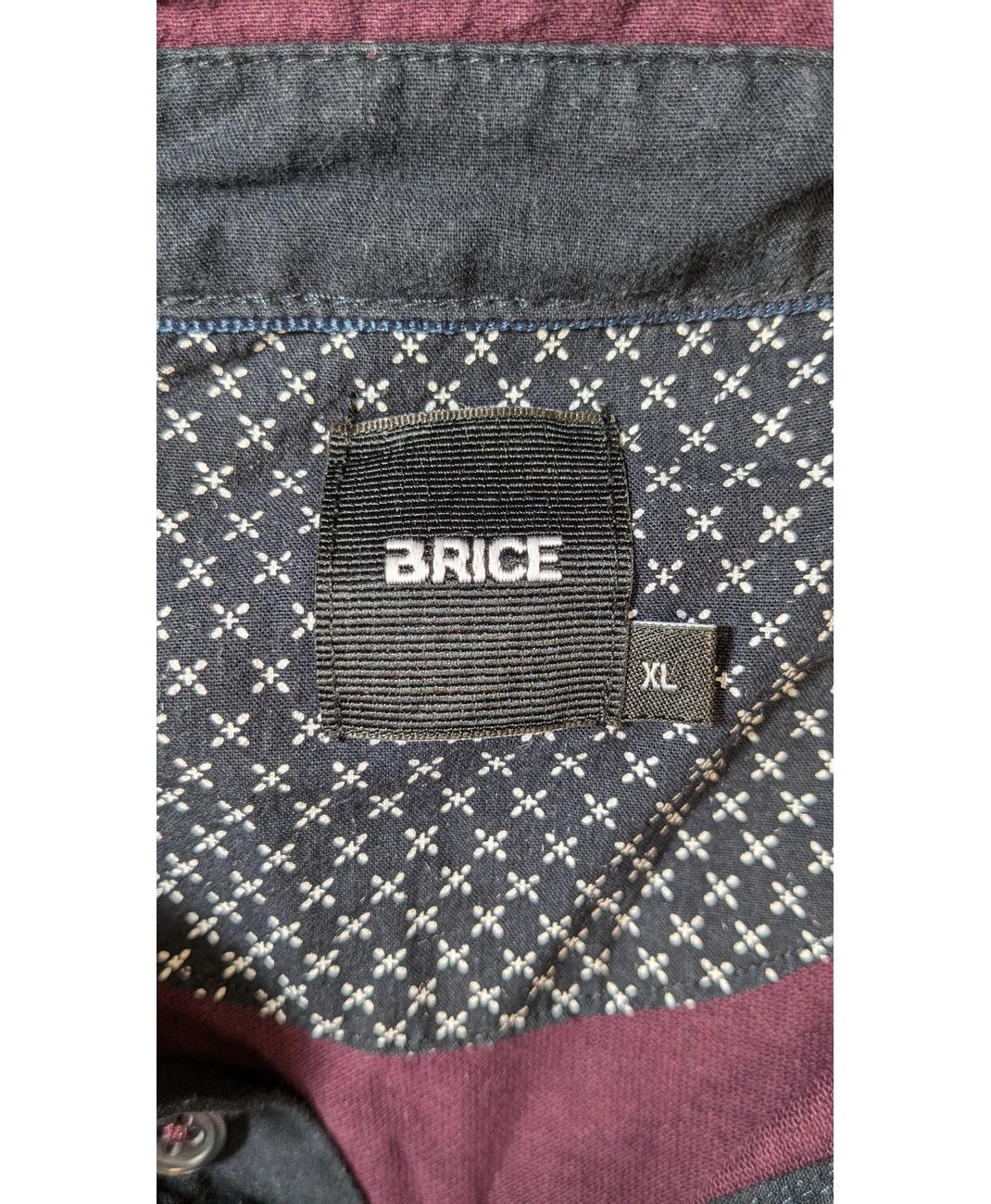 BRICE - Image 5