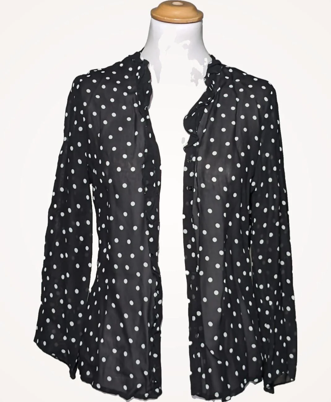 CAROLL - Image 3