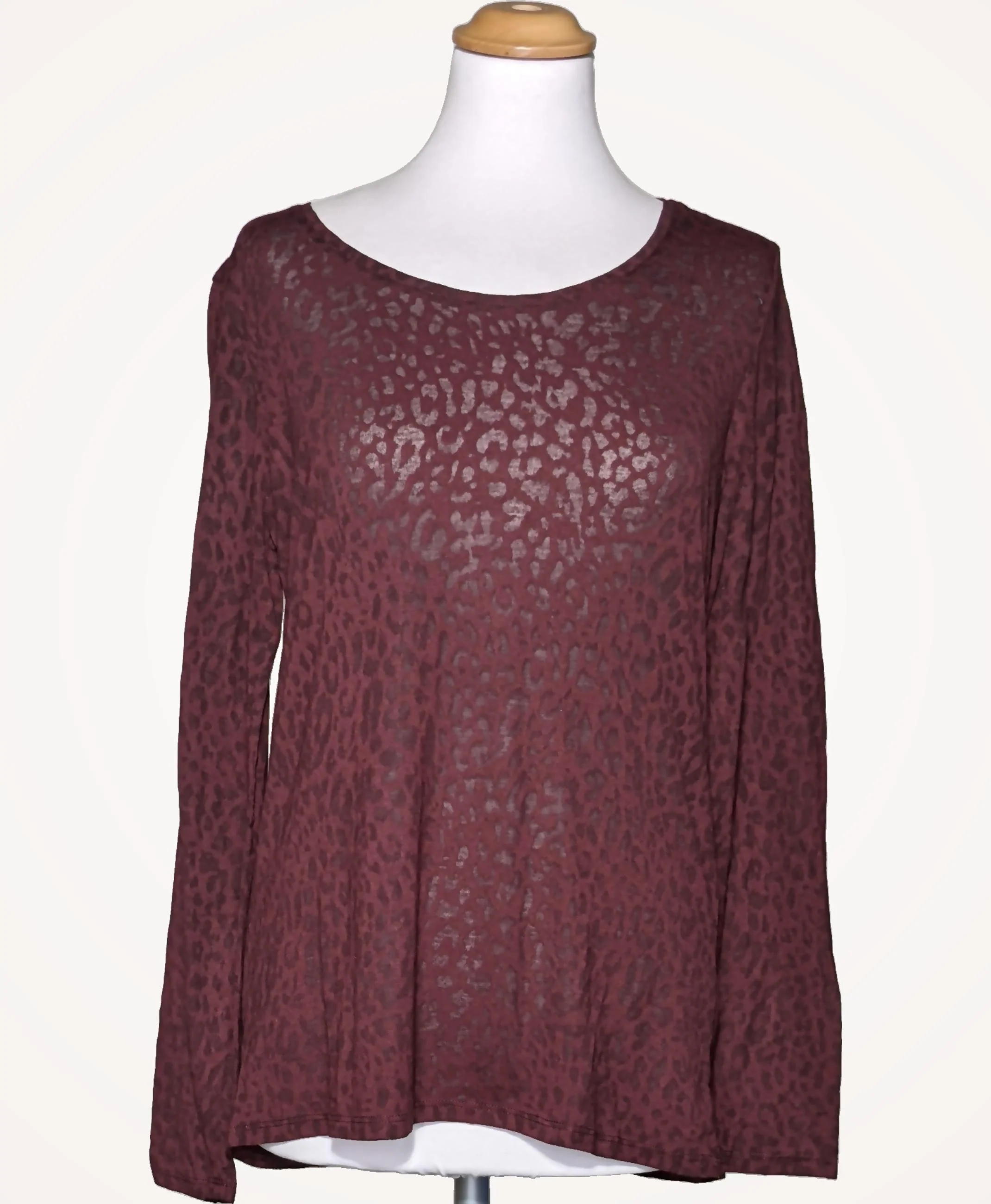 CAROLL - Image 3