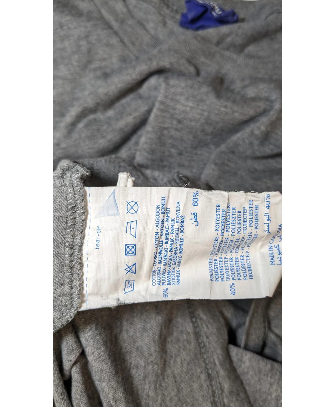 CHAMPION - Image 6
