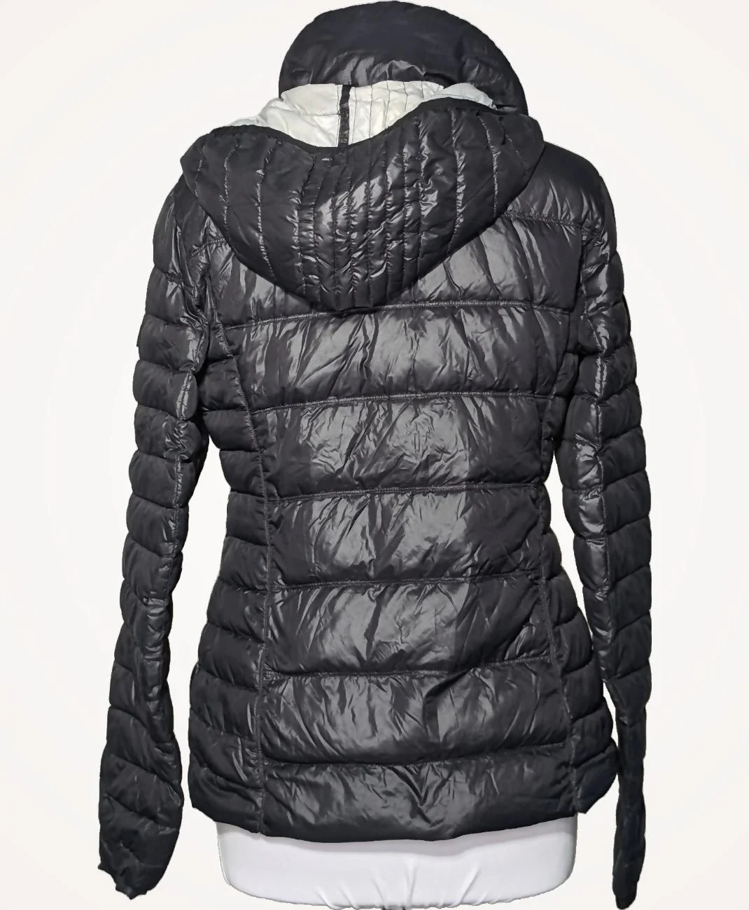 ESPRIT - Image 4