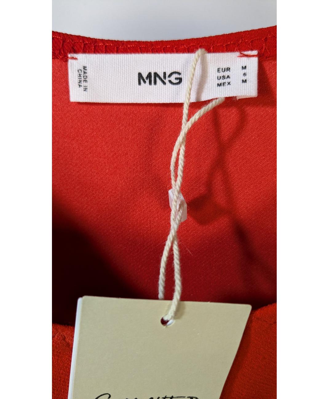 MANGO - Image 5