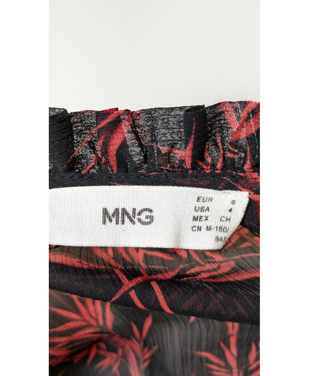MANGO - Image 5