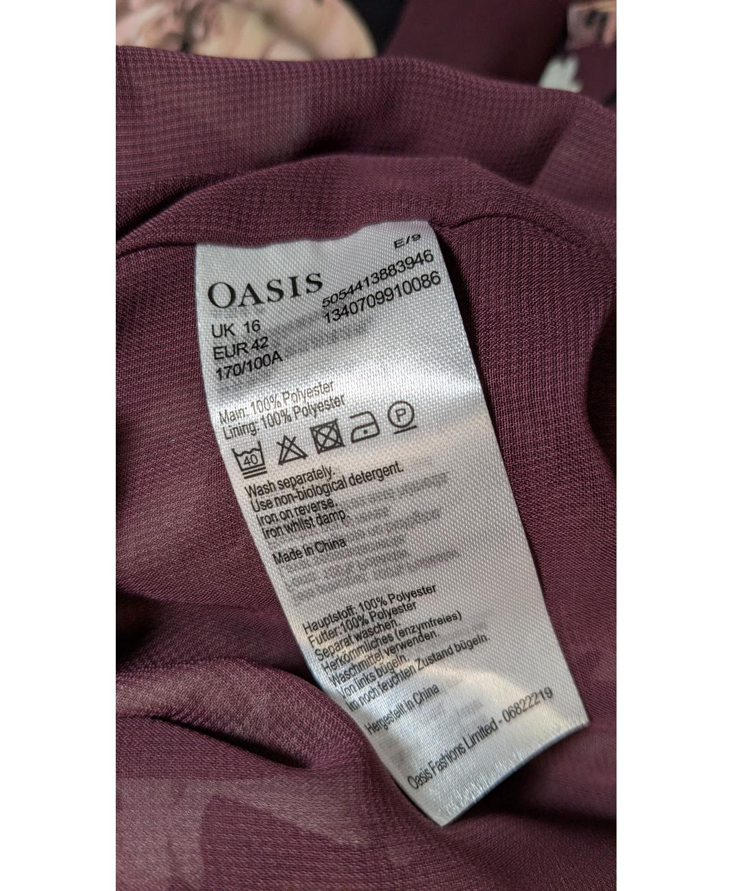 OASIS - Image 6